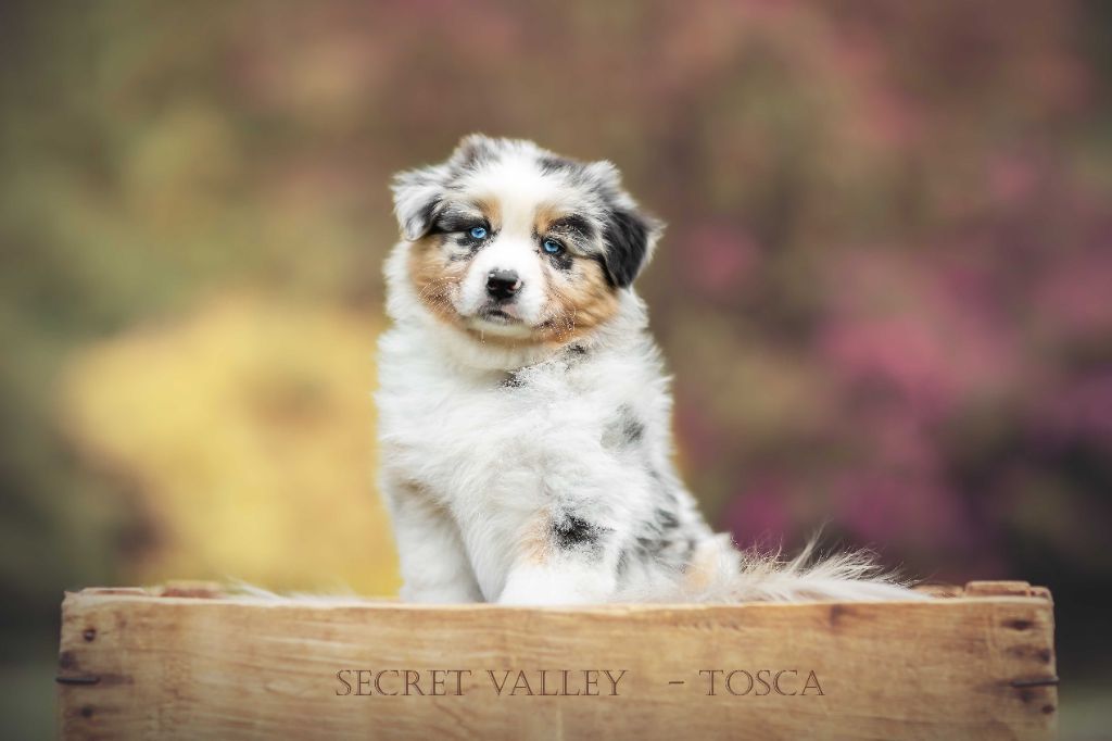 Secret Valley Tosca